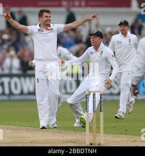 Englands Bowler James Anderson feiert das Mitnehmen des australischen Chris Rogers LBW. Stockfoto