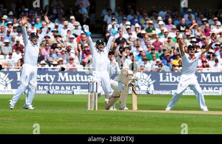 (L-R) die englischen Ian Bell, Matt Prior und Alastair Cook feiern, nachdem Graeme Swann die australische James Pattinson LBW gefangen hat Stockfoto