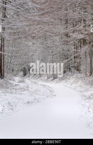 Winterschnee im College Moor in der Nähe von Wass im Norden Yorkshire Stockfoto