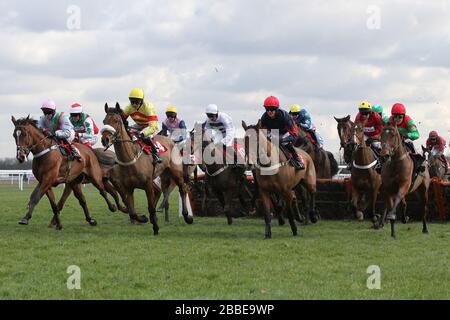 Das Feld im Springreiten in der TurfTV-Novizenhürde - Pferderennen auf der Kempton Park Racecourse Stockfoto