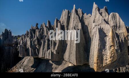 Tsingy Bemaraha National Park, Grand Tsingy, Madagaskar Stockfoto