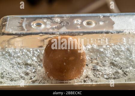 Hühnerei wird in einem automatischen Eierkessel gekocht, Stockfoto