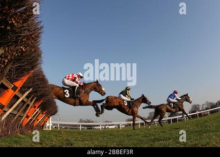 Das Feld im Springreiten während der Follow Plumpton Racecourse auf Facebook Mares Handicap Hürde Stockfoto