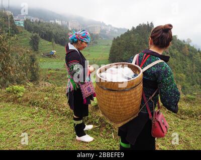 Lokale Hmong-Frauen, die in den Hügeln von SAPA, Vietnam, Südostasien wandern Stockfoto
