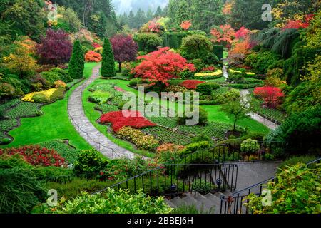 Sunken Gardens Fall Colors, Butchart Gardens, Victoria, Vancouver Island, BC, Kanada Stockfoto