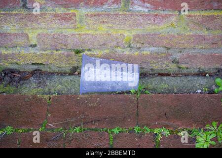 Leere Plastikbecher mit Regentropfen auf die Straße geworfen. Kunststoffabfälle, Abfall und Umweltverschmutzung. Stockfoto