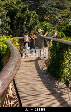 Südafrika, Kapstadt, Kirstenbosch National Botanical Garden, zwei Besucher auf einem erhöhten Baumbaldachgang bei Sonnenschein Stockfoto