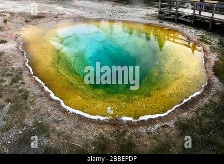 Morning Glory Pool, Yellowstone National Park ans Preserve, United Sates Stockfoto