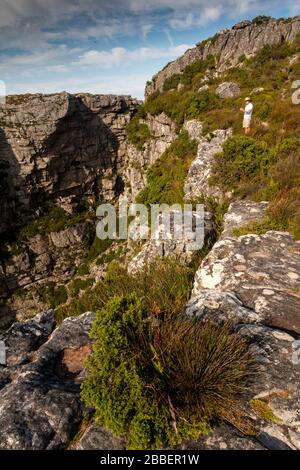 Südafrika, Kapstadt, Tafelberg, Mann am felsigen Rand der Plattenklip Gorge Stockfoto