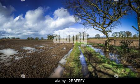 Überflutete Graben- und Reifenspuren, die von einem Traktor in einem mit Regenwasser gefüllten Feld gemacht wurden. Stockfoto