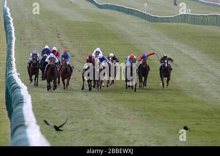 Das Feld rast auf der Rowley Mile im Lanwades Stud Nell Gwyn Stakes (Gruppe 3) (Fillies) Stockfoto