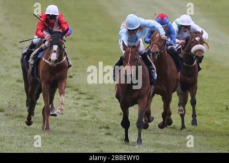 Esentepe, der von Pat Dobbs (hellblaue Kappe) geritten wird, rückt in der Lanwades Stud Nell Gwyn Stakes (Gruppe 3) (Fillies) nach vorne Stockfoto