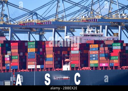 Rotterdam, Niederlande - August 2019; Nahaufnahme des Mittelteils des Containerschiffs, Handhabung von "von See zu Land" im Terminal mit Portalkränen Stockfoto