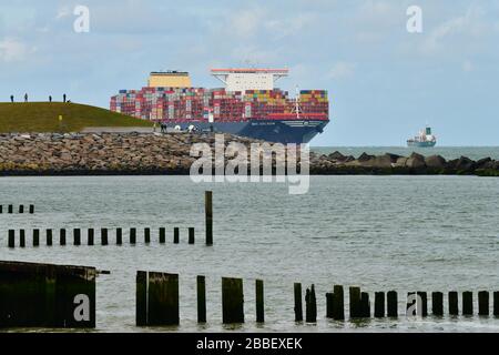 Rotterdam, Niederlande ; Zuschauer am Eingang des Rotterdamer Hafens, der das größte Containerschiff im Wor beobachtet Stockfoto