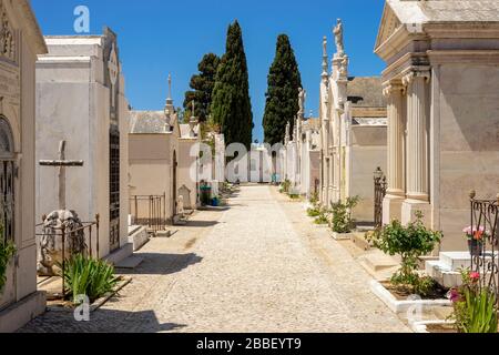 Sonnige Gasse auf dem Friedhof in Albufeira, Algarve, Portugal Stockfoto