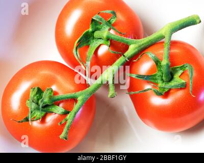 Tomaten auf der Rebe in einer Schüssel Stockfoto