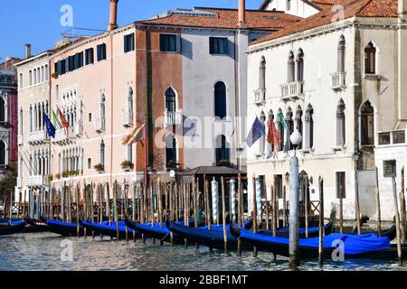 Venedig, Italy-Februar 2020; Blick auf den Canal Grande und die historischen Gebäude mit im Vorderteil zahlreichen Gondeln auf dem Holzpfosten Stockfoto