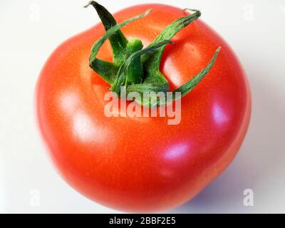 Eine einzelne reife rote Tomate mit Stielchen auf weißem Grund Stockfoto