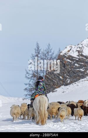 RENCHINLKHUMBE, MONGOLIA, 4. März 2020: Die saisonale Frühlingswanderung beginnt in den Bergen der Nord-Mongolia, da die Landschaften immer noch mit Witz bedeckt sind Stockfoto