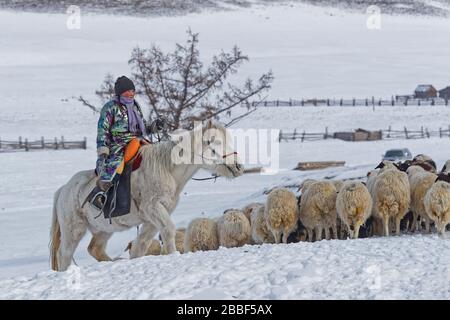 RENCHINLKHUMBE, MONGOLIA, 4. März 2020: Die saisonale Frühlingswanderung beginnt in den Bergen der Nord-Mongolia, da die Landschaften immer noch mit Witz bedeckt sind Stockfoto