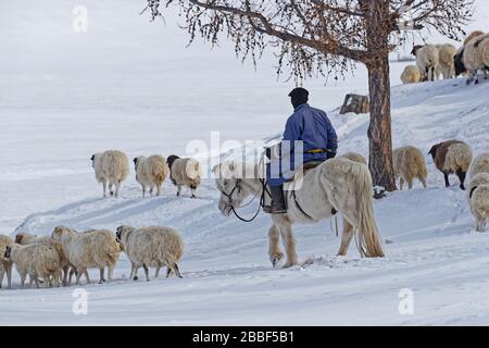 RENCHINLKHUMBE, MONGOLIA, 4. März 2020: Die saisonale Frühlingswanderung beginnt in den Bergen der Nord-Mongolia, da die Landschaften immer noch mit Witz bedeckt sind Stockfoto