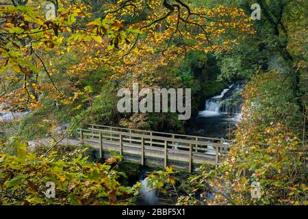 Die Fußgängerbrücke über Hoar Oak Water im Herbst bei Watersmeet im Exmoor-Nationalpark, Devon, England. Stockfoto