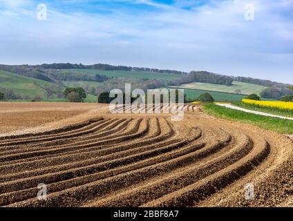 Neu gepflügt mit Furchen, die an einem sonnigen Tag in die Ferne führen. Stockfoto