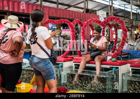 Garra rufa, Krabi Insel, Thailand, Asien Stockfoto