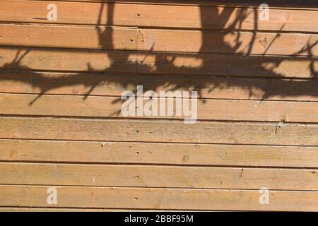 verwittertem Holz Stockfoto