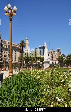 Buenos Aires, Argentinien: Niedriger Blick auf die Plaza de Mayo (Casa Rosada) in Buenos Aires über ein Blumenbett Stockfoto