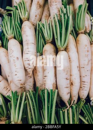 Biologisches lokales Daikon radisches Gemüse oder Verkauf auf dem Markt, Gemüse Stockfoto