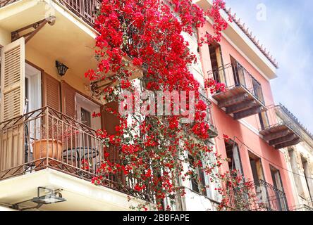 Traditionelle bunte Gebäude und Bougainvilleas in der Stadt Nafplio Griechenland Stockfoto