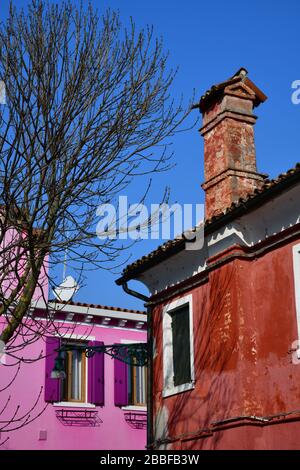 Niedriger Blickwinkel auf den oberen Abschnitt der farbenfrohen rosafarbenen und roten Häuser in Burano, die von einem Baum auf dem Platz gesäumt werden Stockfoto