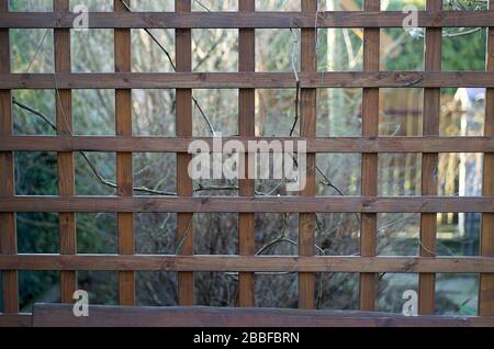 Offene Gartenlaube aus Holzlatten Stockfoto