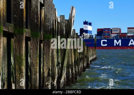 Rotterdam, die Niederlande-März 2020: Blick auf das Mittelschiff einer Containerschaft, die den Hafen betritt, entlang des langen Holz-Wetterbruchs gesehen Stockfoto