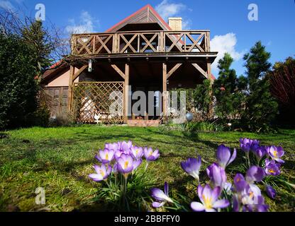 Haus mit einem großen Holzbalkon in der Landschaft im Frühjahr Stockfoto