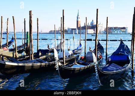 Nahaufnahme einer Reihe von traditionellen, an Stangen gefestten, venetianischen Gondeln mit San Giorgo Maggiore im Hintergrund Stockfoto