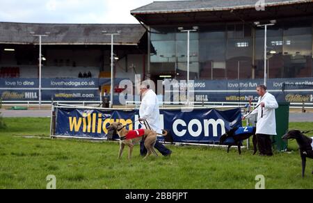 Ballymac Eske (Nr. 1 rot) und Farloe Tango (Nr. 2 blau) vor dem William Hill Greyhound-Derby 2. Runde Heat 10 Stockfoto