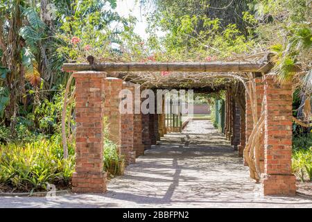 Eingang mit roter Säule und tropischer Vegetation am hellen Sommertag in Port Elizabeth in Südafrika. Stockfoto