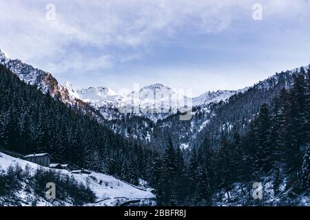 Der Wald und der Blick auf das Tartano-Tal, in der Nähe der Stadt Morbegno, Italien, an einem schönen Wintertag Stockfoto