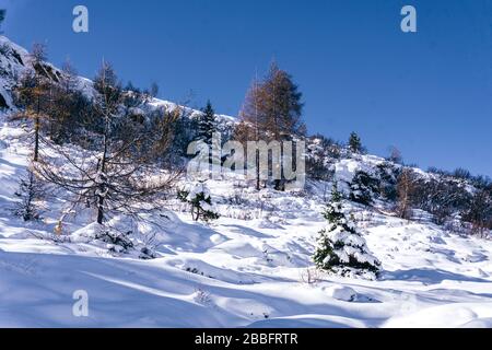 Der Wald und der Blick auf das Tartano-Tal, in der Nähe der Stadt Morbegno, Italien, an einem schönen Wintertag Stockfoto