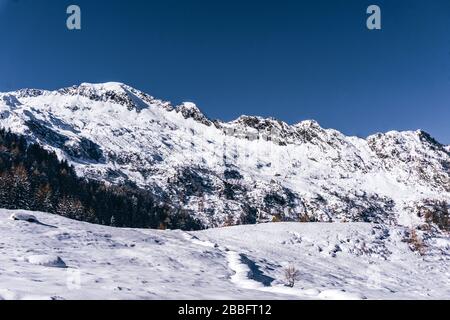 Der Wald und der Blick auf das Tartano-Tal, in der Nähe der Stadt Morbegno, Italien, an einem schönen Wintertag Stockfoto