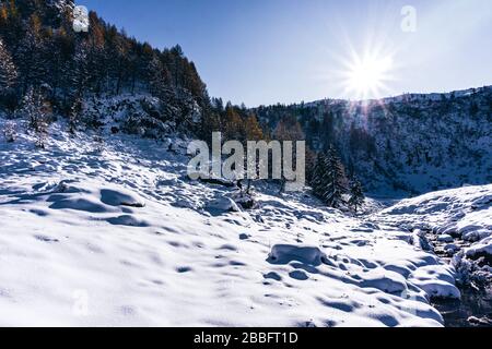 Der Wald und der Blick auf das Tartano-Tal, in der Nähe der Stadt Morbegno, Italien, an einem schönen Wintertag Stockfoto