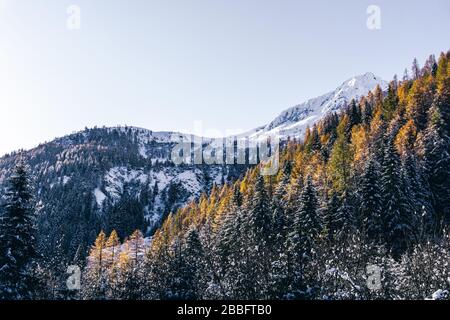 Der Wald und der Blick auf das Tartano-Tal, in der Nähe der Stadt Morbegno, Italien, an einem schönen Wintertag Stockfoto