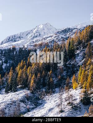 Der Wald und der Blick auf das Tartano-Tal, in der Nähe der Stadt Morbegno, Italien, an einem schönen Wintertag Stockfoto