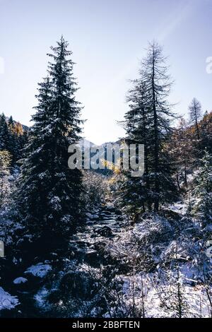 Der Wald und der Blick auf das Tartano-Tal, in der Nähe der Stadt Morbegno, Italien, an einem schönen Wintertag Stockfoto