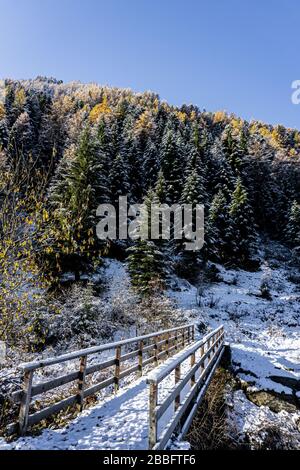 Der Wald und der Blick auf das Tartano-Tal, in der Nähe der Stadt Morbegno, Italien, an einem schönen Wintertag Stockfoto