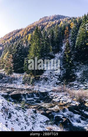 Der Wald und der Blick auf das Tartano-Tal, in der Nähe der Stadt Morbegno, Italien, an einem schönen Wintertag Stockfoto