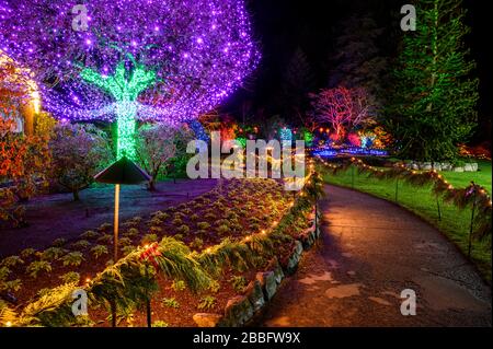 Weihnachten bei den Butchart Gardens, Victoria, Vancouver Island, BC, Kanada Stockfoto