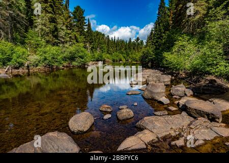 Oxtongue River im Algonquin Provincial Park Stockfoto